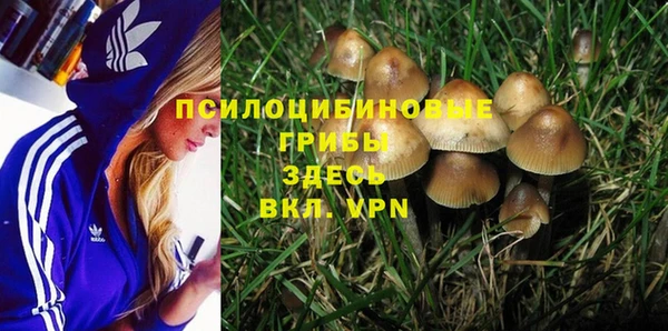 не бодяженный Ишимбай