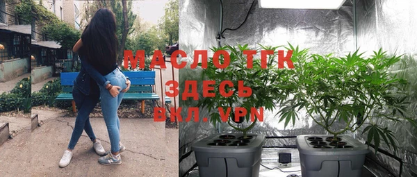 молекула духа Сатка