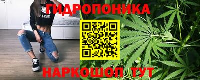 ПСИЛОЦИБИНОВЫЕ ГРИБЫ Обь
