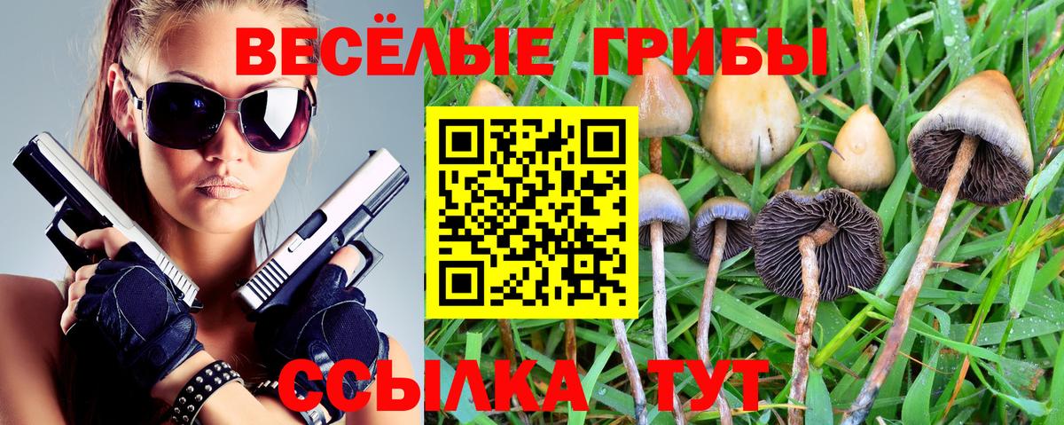 Галлюциногенные грибы мухоморы Скопин