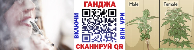 Конопля семена  купить   Скопин 